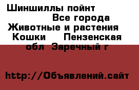 Шиншиллы пойнт ns1133,ny1133. - Все города Животные и растения » Кошки   . Пензенская обл.,Заречный г.